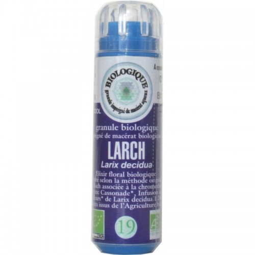 FLEUR BACH N°19 LARCH granule