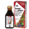 FLORADIX FER + PLANTES 500ml