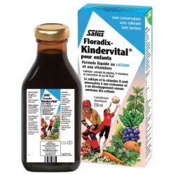 Floradix Kindervital 250 ml