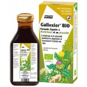 GALLEXIER ARTICHAUT PISSENLIT 250ml