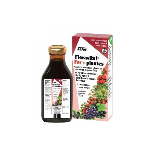Floravital (ss gluten, ss levure) 250 ml