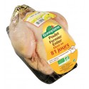 POULET JAUNE FERMIER AUVERGNE +/-1.300kg