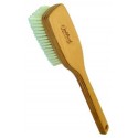 BROSSE pour le BAIN (grand manche)