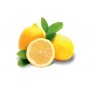 TOF'DELICE GAIA Citron 150 gr