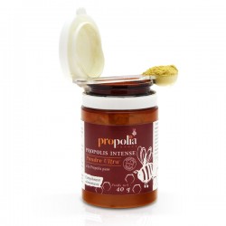 Poudre propolis ultra pot 40 g