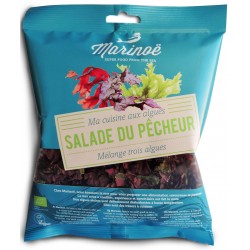 Salade du pêcheur (dulse, nori, laitue)