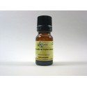 CANNELLE de CEYLAN (écorce) HE 5ml