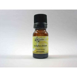 Eucalyptus citronné 5ml HE