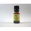 EUCALYPTUS GLOBULUS HE 5ml