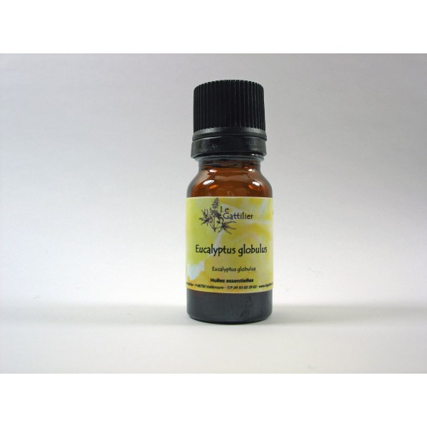 Eucalyptus globulus 5ml HE