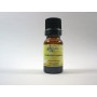 Eucalyptus à cryptone 5ml HE