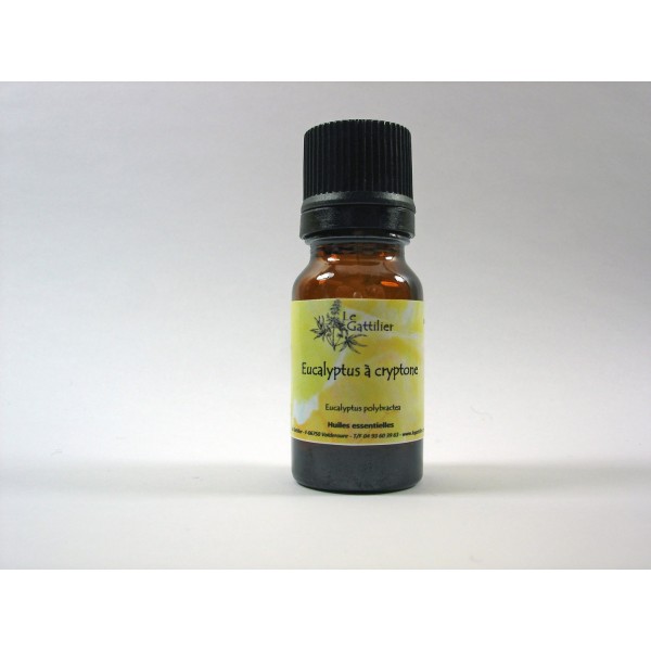 Eucalyptus à cryptone 5ml HE