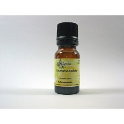 Eucalyptus radiata 5ml HE