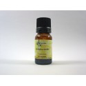 EUCALYPTUS SMITHII HE 5ml