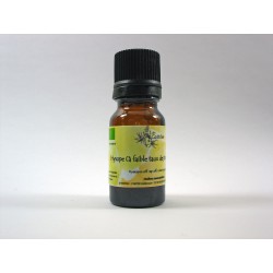 Hysope type decumbens* 5ml HE