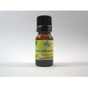 HYSOPE CANESCENS type DECUMBENS HE 5ml