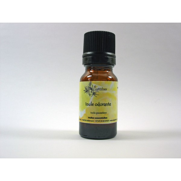 Inule odorante 5ml HE