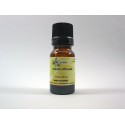 LIVECHE OFFICINALE HE 2ml