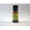 ORIGAN COMPACT SAUVAGE MAROC HE 5ml