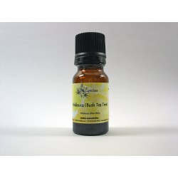 Melaleuca (Bush Tea Tree) 5ml HE