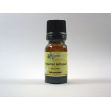 PISTACHIER LENTISQUE HE 2ml