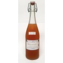 KOMBUCHA PLANTES SAUVAGES 75cl