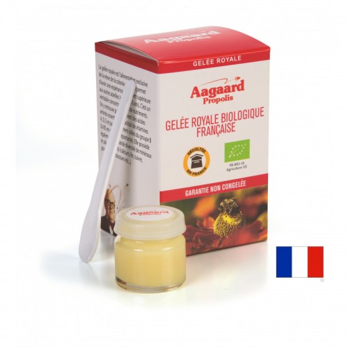 GELEE ROYALE FRANCAISE 10g