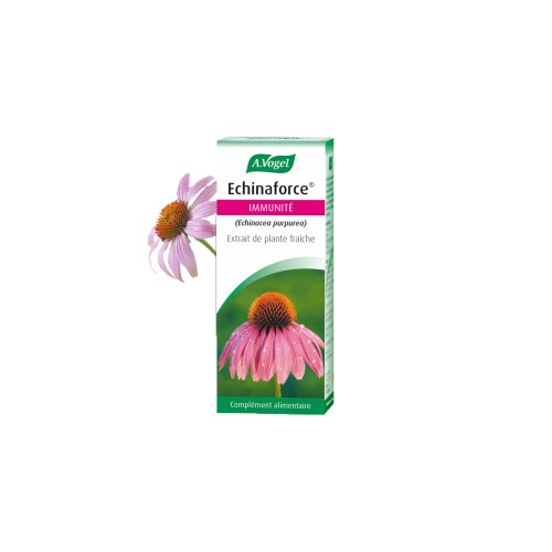 ECHINACEA EPF ALC 100ml