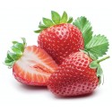 Fraise MARIGUETTE 250g