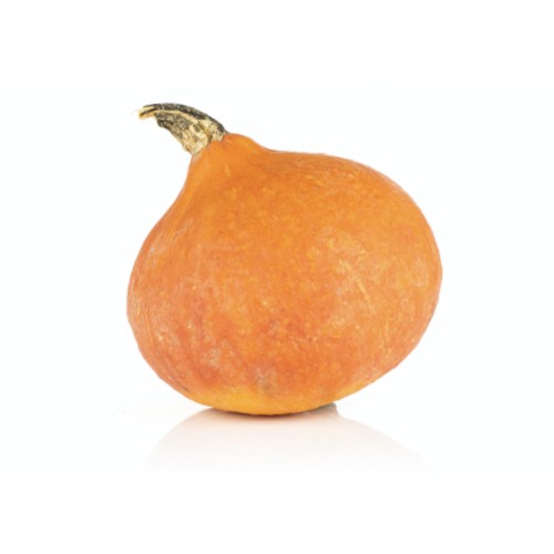 Potimarron Orange France (1 pièce)