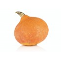 Potimarron Orange France (1 pièce)