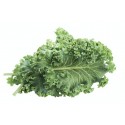 Chou Kale France (350 g)