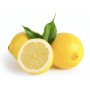 Citron Primofiore Italie (3 pièces)