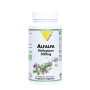 VIT'ALL+ ALFALFA 500 MG 60 GELULES VEGETALES