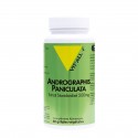 ANDROGRAPHIS PANICULATA 60 gélules vég