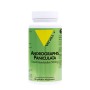 VIT'ALL+ ANDROGRAPHIS PANICULATA 500 MG 60 GELULES VEGETALES