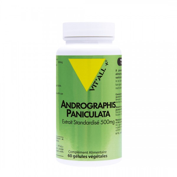 VIT'ALL+ ANDROGRAPHIS PANICULATA 500 MG 60 GELULES VEGETALES