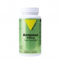 ASTRAGALE 500mg 60 gélules