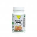 BOSWELLIA SERRATA 230mg ext. stand60gél