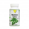 MORINGA 500mg extrait standardisé 60gél