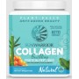 SUNWARRIOR COLLAGEN BUILDING PROTEIN PEPTIDES NATURAL 500G