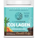 COLLAGEN CHO BUILDPROTEIN PEPTIDES500g
