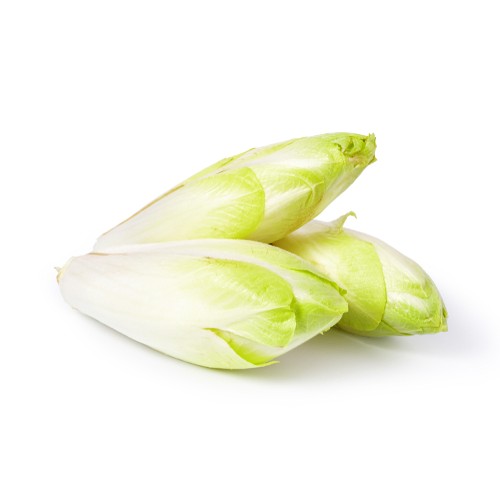 Endive France (4 pièces)