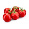 Tomate Ronde Grappe FR (6 pièces)