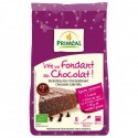 VITE UN FONDANT CHOCOLAT 300g