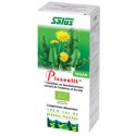 SUC de plantes PISSENLIT flacon 200ml