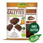 GALETTE SARRASIN CHOCO 2x100g