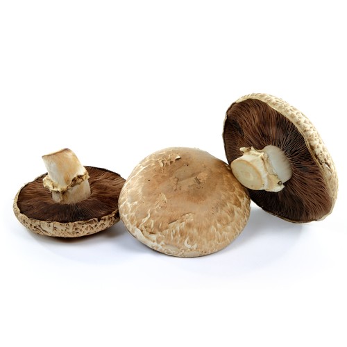 Champignon Portobello France (200g)