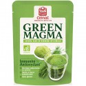 GREEN MAGMA JUS HERBE ORGE 320 comprimé