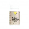 TRIBULUS 300 mg 60 comprimés